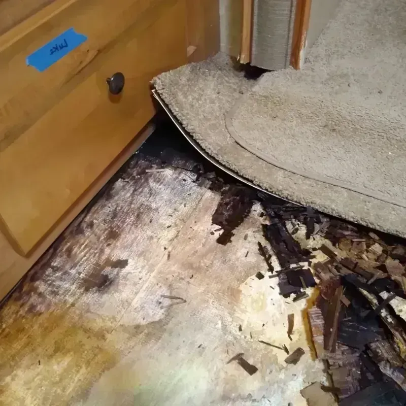 Wood Floor Water Damage in Geneva, AL